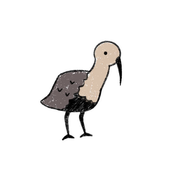 Bandurria idle 1.png